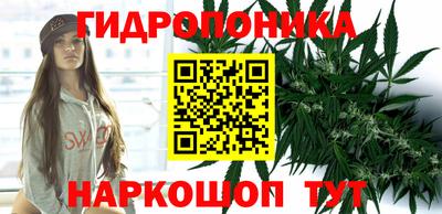 mix Будённовск