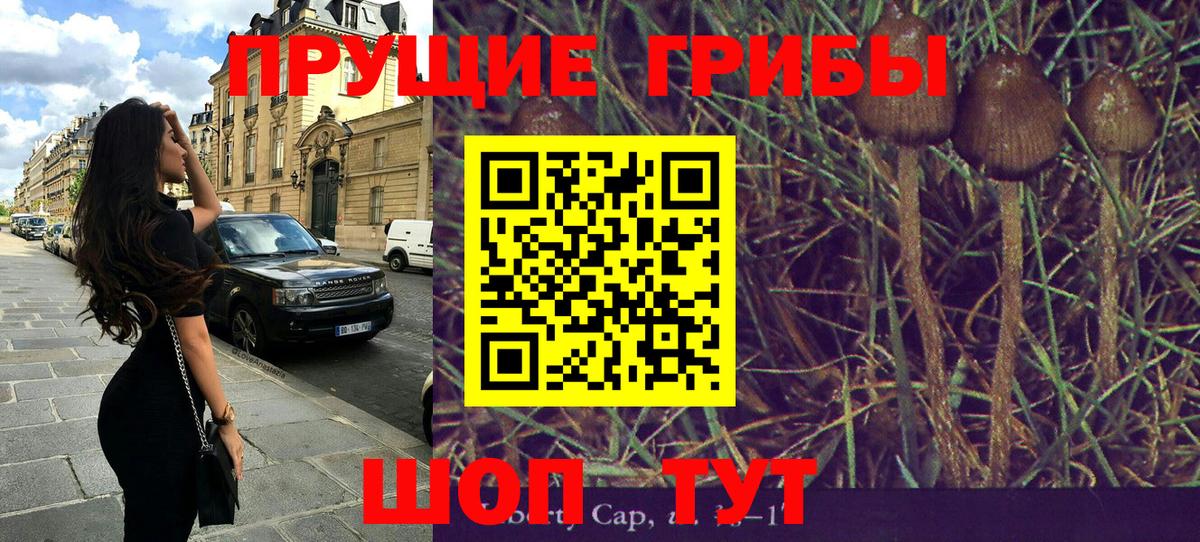 Псилоцибиновые грибы ЛСД Костомукша